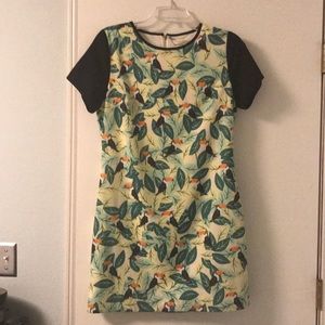 NWT Modcloth Toucan Dress